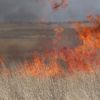 Grassland Controlled Burn